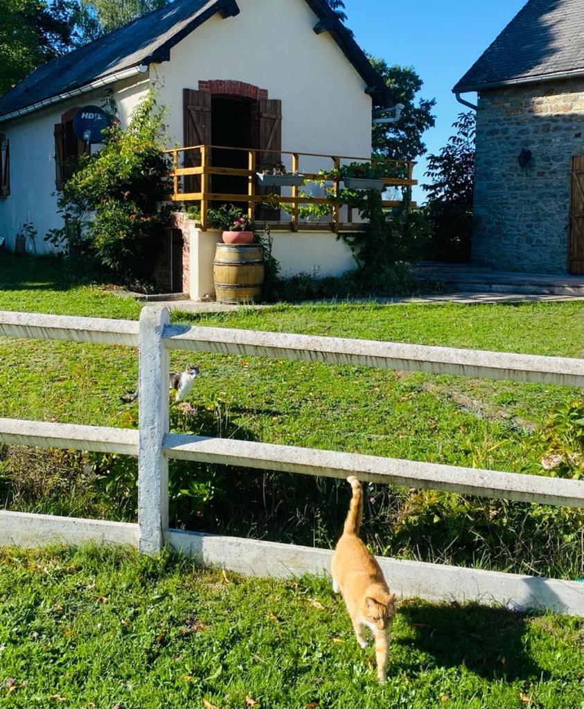Le Chene D'Or Bed and Breakfast Marcheseuil Eksteriør billede